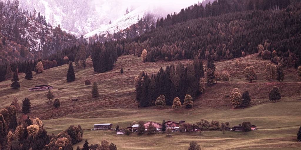 Unterholzhof Piesendorf - Bauernhof Urlaub in den Alpen